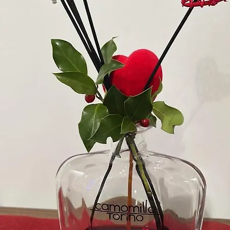 Due Cuori 住宿加早餐酒店