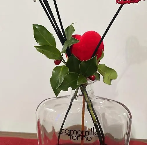 Due Cuori לינה וארוחת בוקר